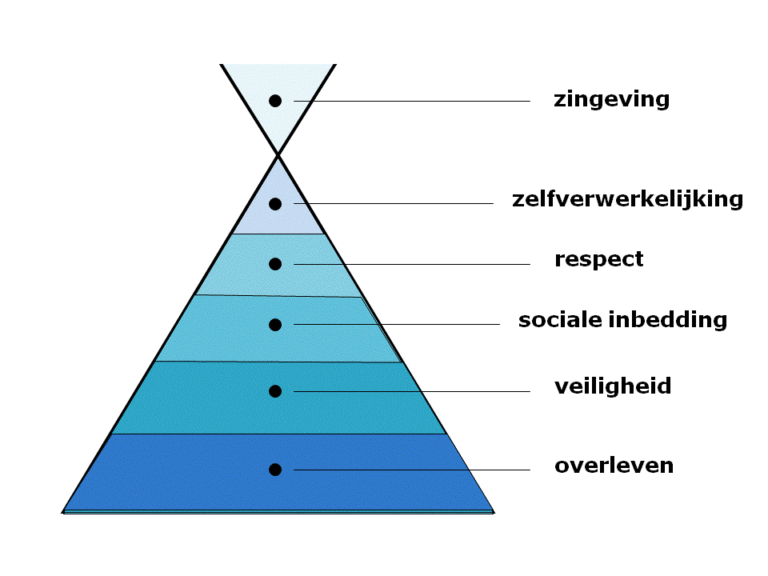 maslow_6 - 361°